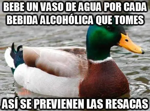 Consejos del pato consejero que debes leer