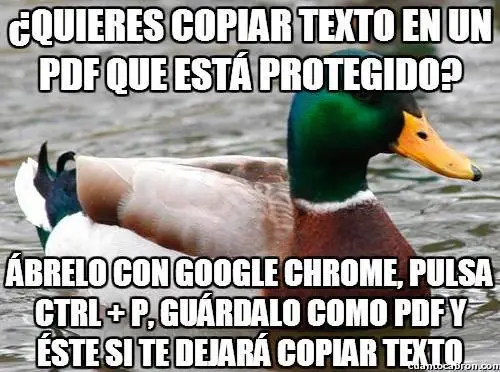 Consejos del pato consejero que debes leer