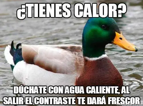 consejero