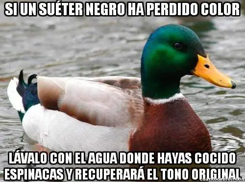 pato