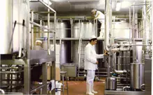 Proceso de Elaboración del Yogur