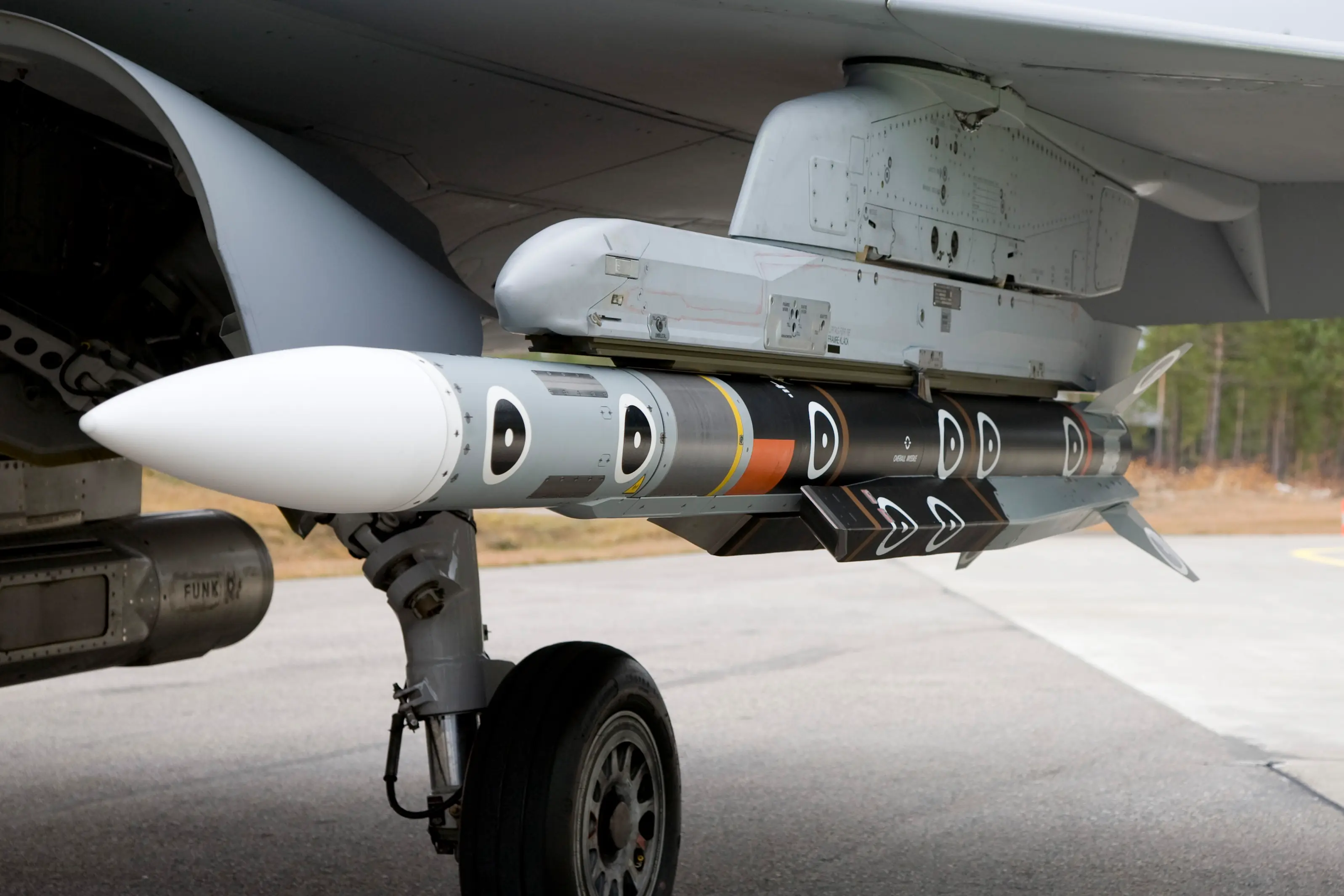 gripen