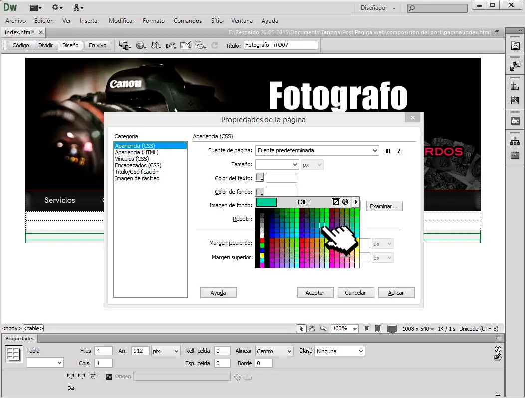 publicar web