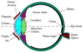 No puedes matar sin que te descubran:Caso Nisman(resubido)