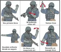 ejercito linces