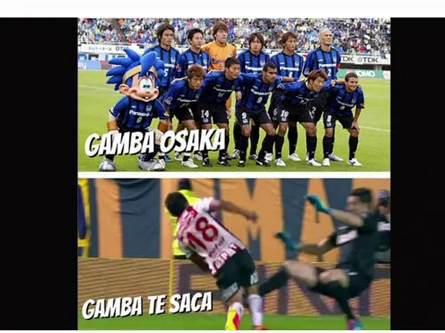 gamba