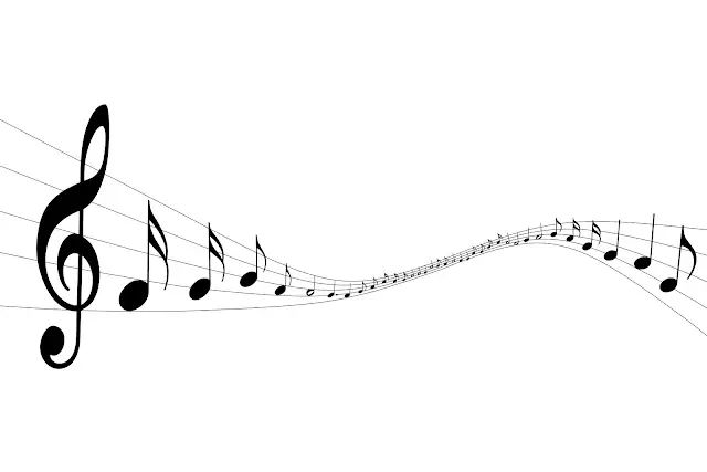 Por qué se desvalorizamos al Musico?