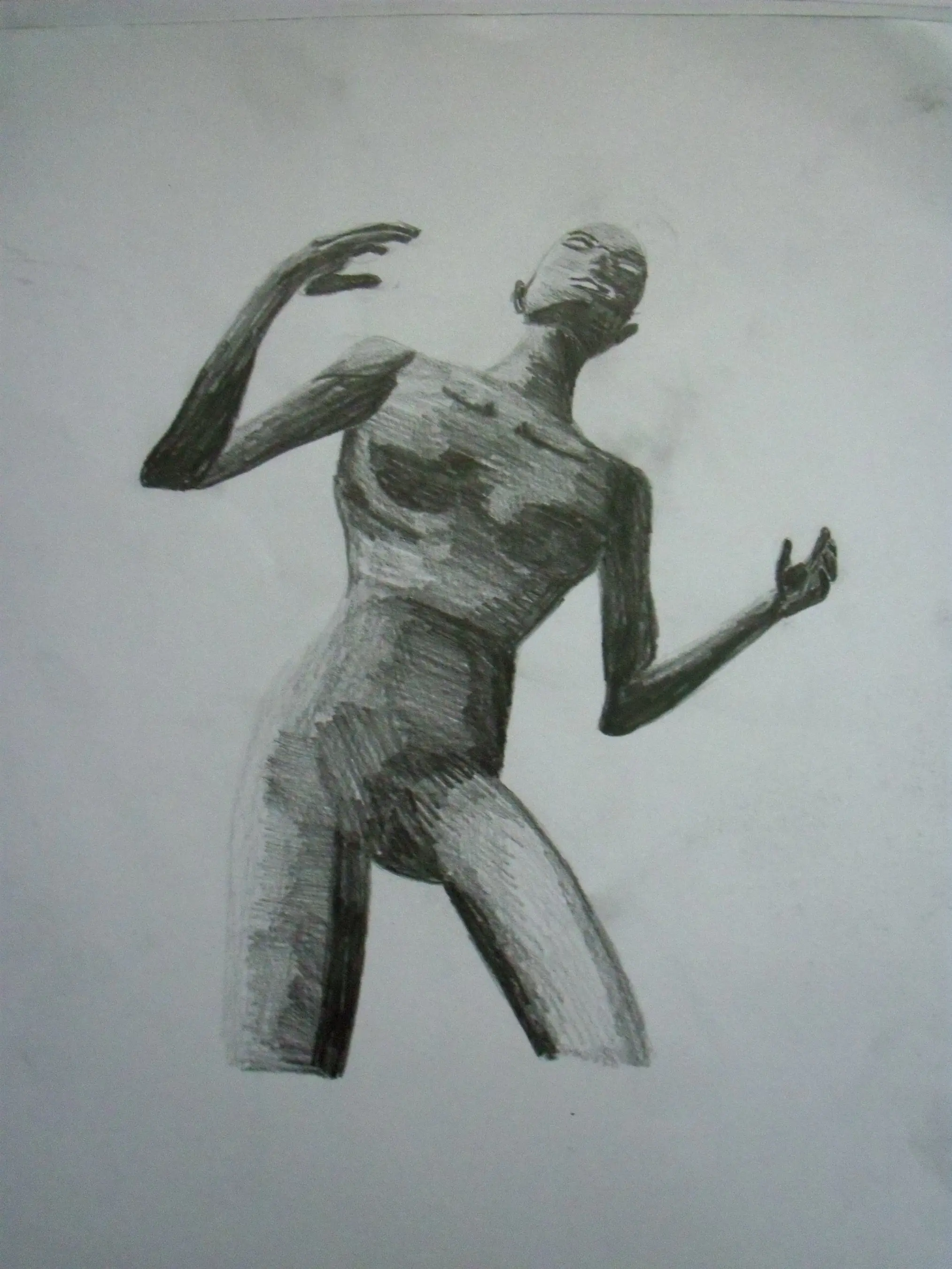 cuerpo humano