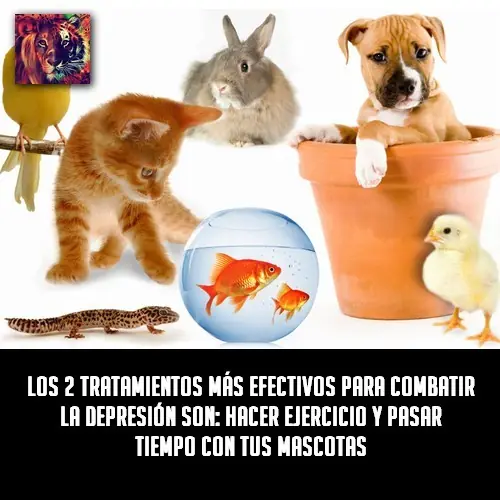 Cosas curiosas