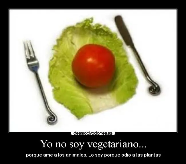 de vida