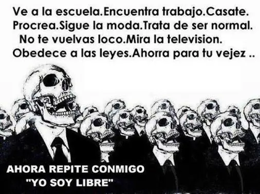 basicas