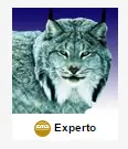 droga