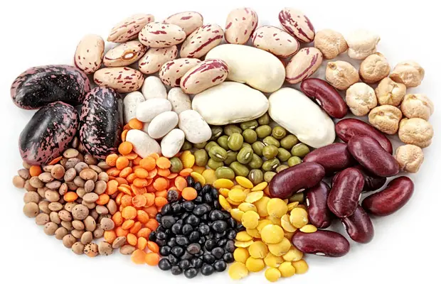 nutrir