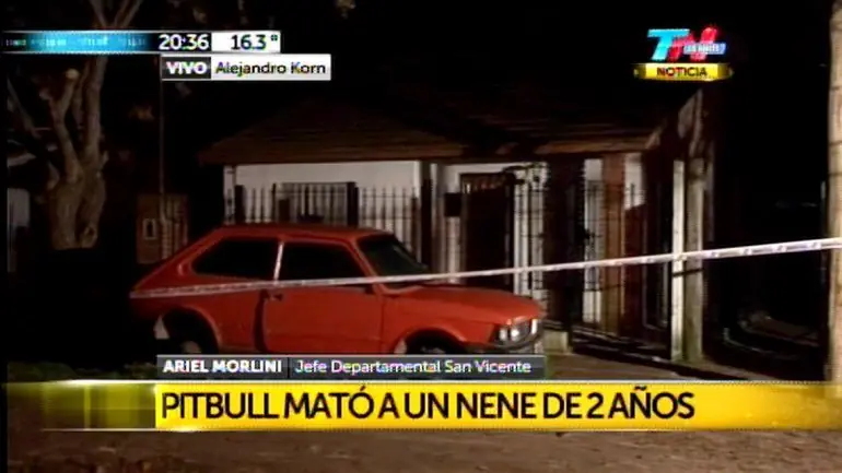 Te tiro la posta sobre los perros Pitbull