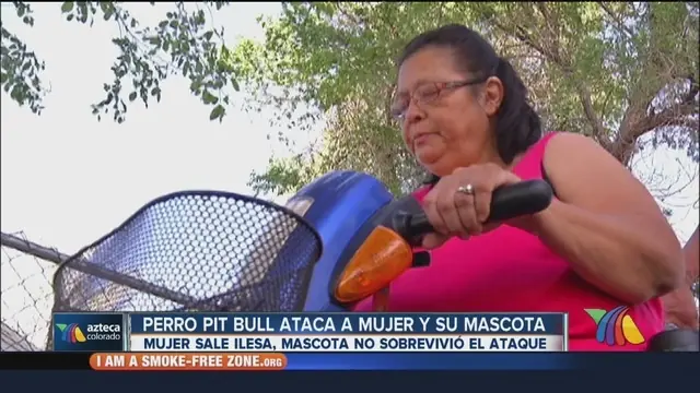 perros peligrosos