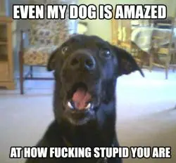 Diccionario de 4chan y algunos memes