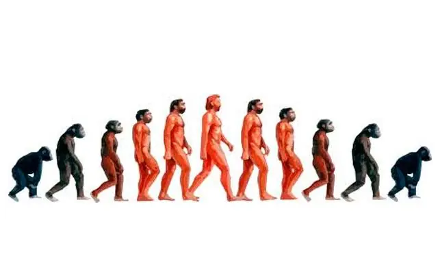 ¿El ser humano involuciona?
