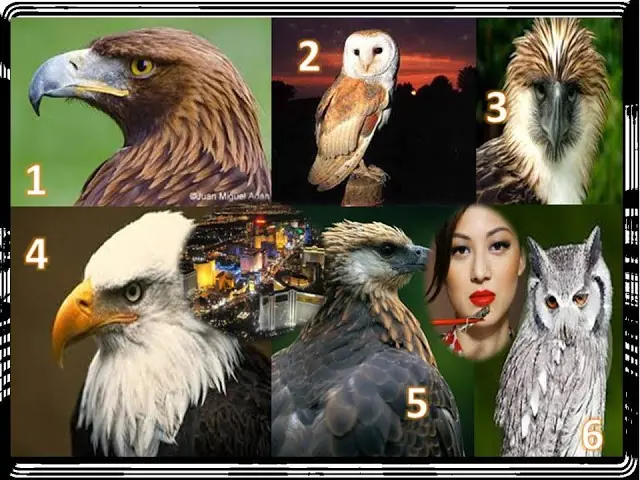imagenes