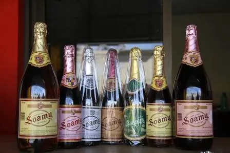 Todas las bebidas tradicionales de México, todas lince.