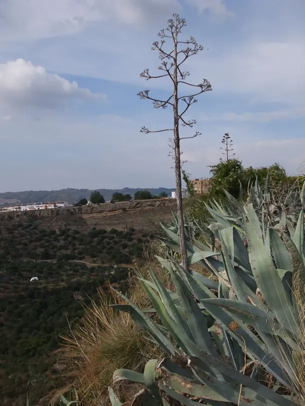 tradiciones de mexico