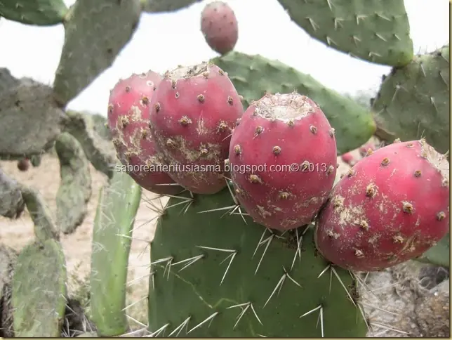 tradiciones de mexico