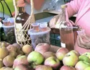 Todas las bebidas tradicionales de México, todas lince.