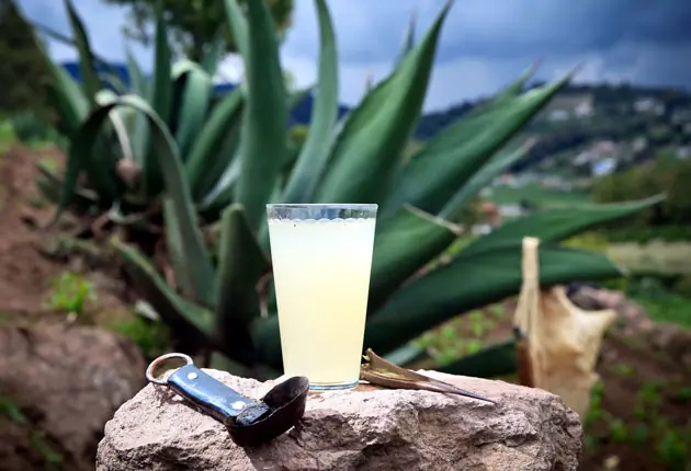 bebidas