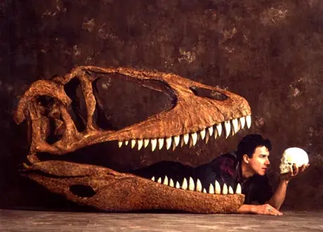 raptores