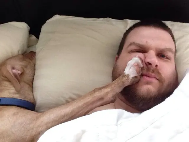 13 datos sobre dormir