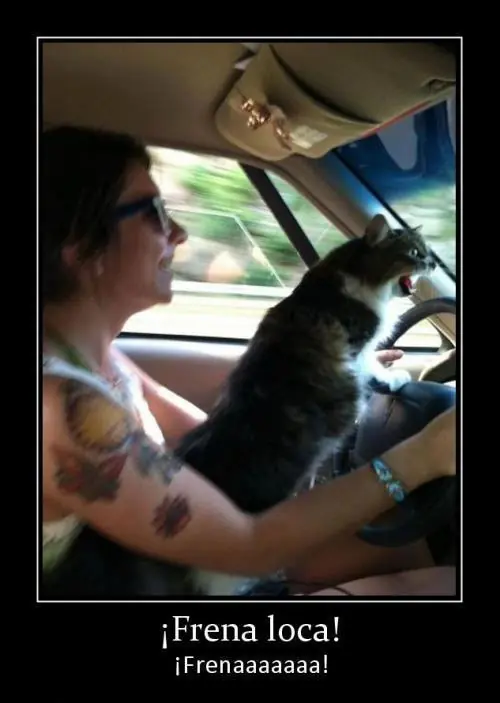 humor