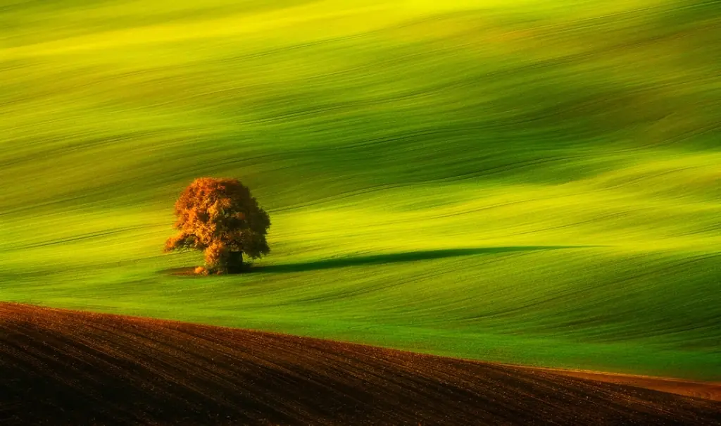 paisajes