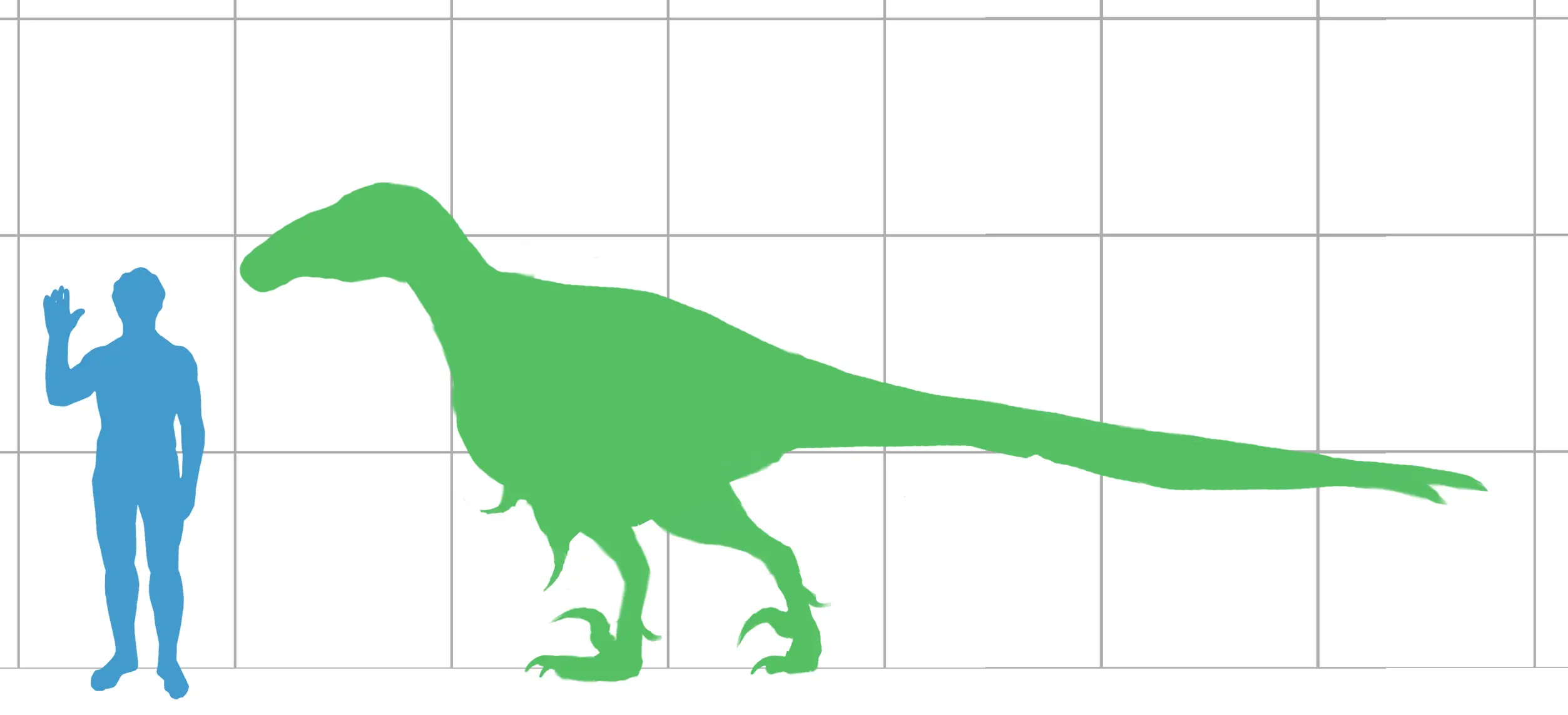 raptores