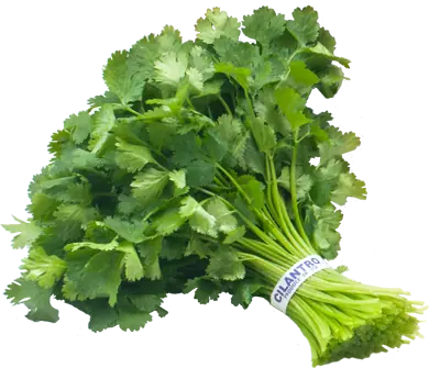 Cultiva tus propias hierbas aromaticas - Parte 1 Cultiva tus propias hierbas aromaticas - Parte 1