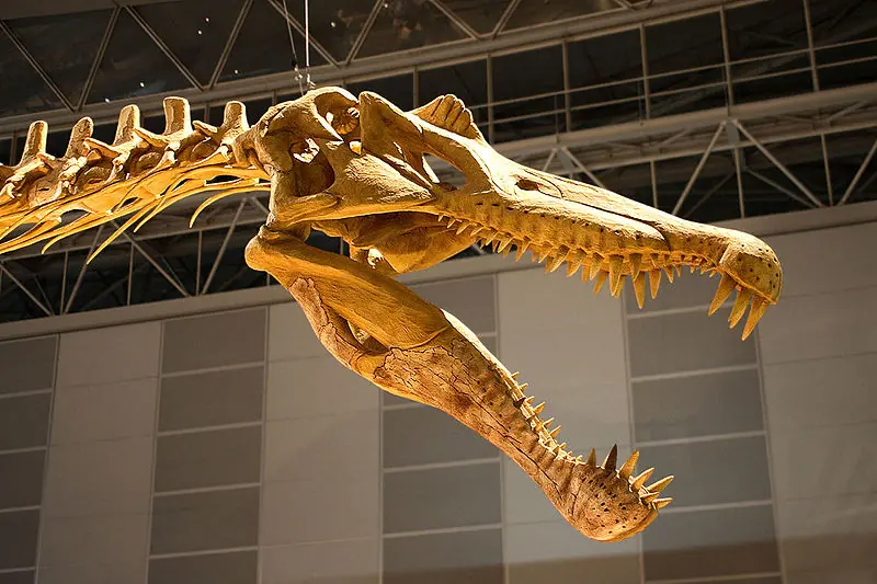 spinosaurus