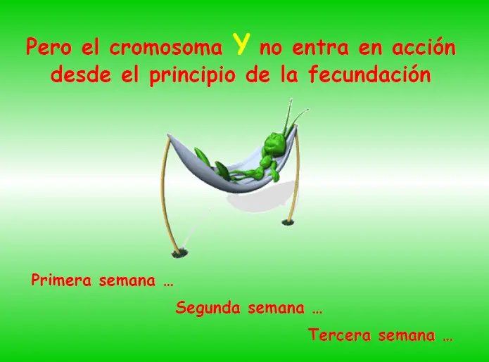 info