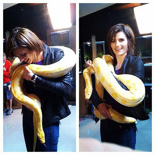 Simplemente, Stana Katic.