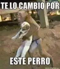 Imagenes De Mi Pc