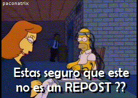 que significa lince