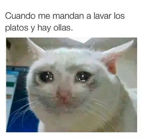 imagenes graciosas