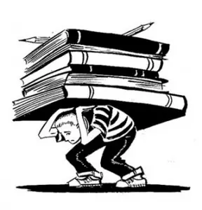 25 Curiosidades que debes saber. VOL 1