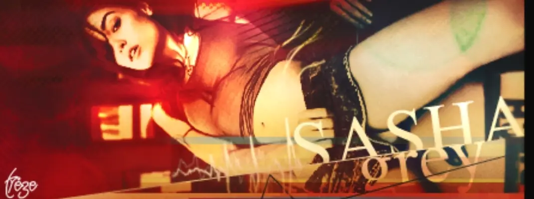 Sasha Grey te enseña a limpiar el Registro de Windows