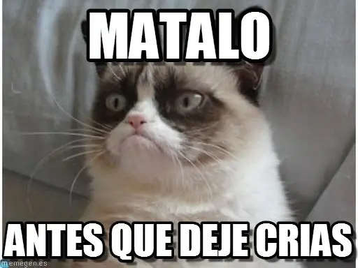 etc