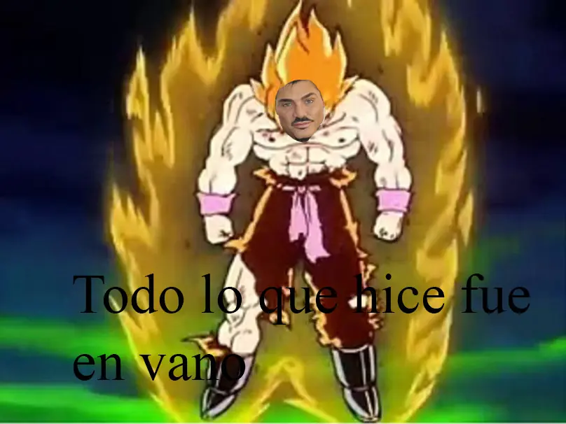 ricardo fort