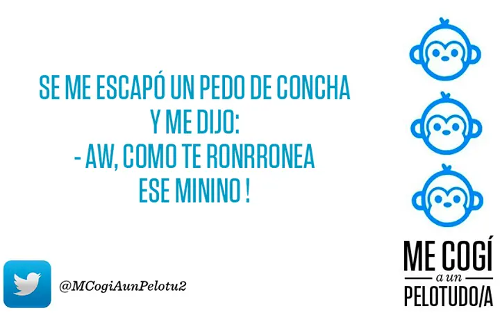 Me Fifé a un Pelotudo/a