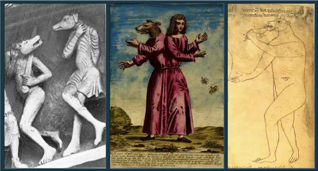 Las Historias más locas y curiosas de Animales