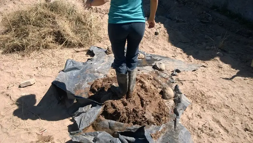 naturaleza