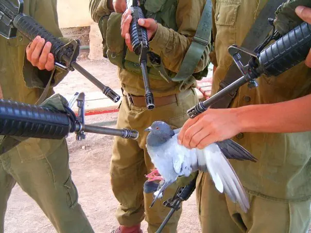 israel