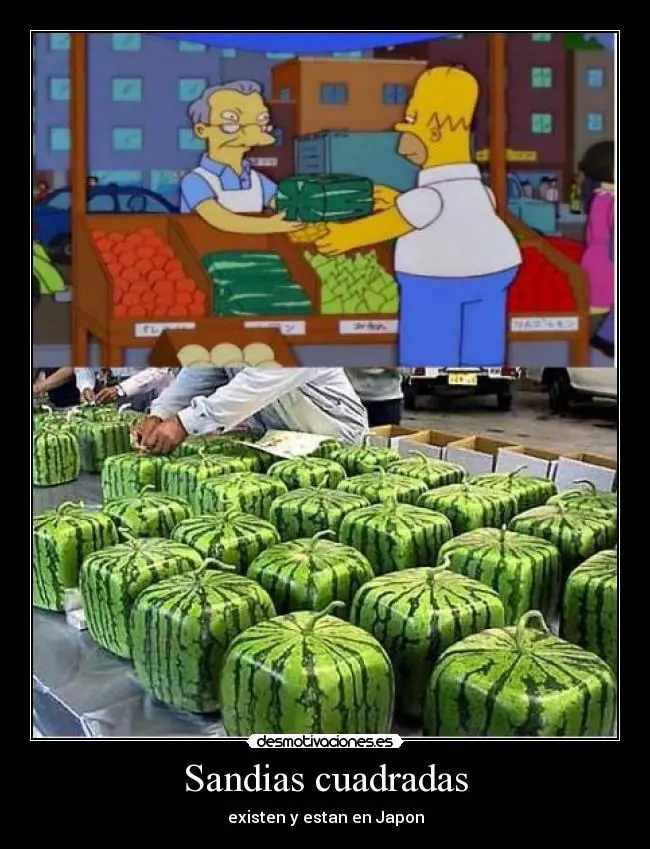 curiosidades