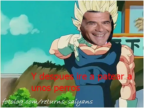 taringa