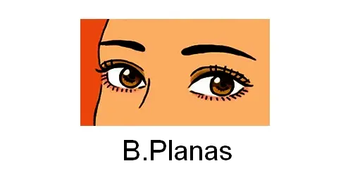 medianos